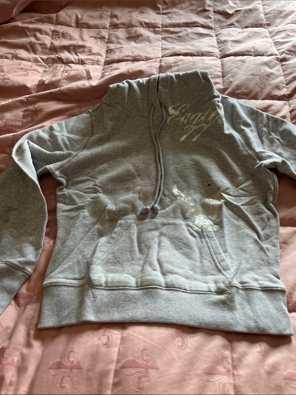 NWT American Eagle Outfitters Gray Pullover Hoodie Sweater